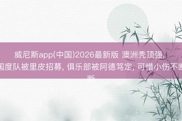 威尼斯app(中国)2026最新版 澳洲秃顶强， 国度队被里皮招募， 俱乐部被阿德笃定， 可惜小伤不断