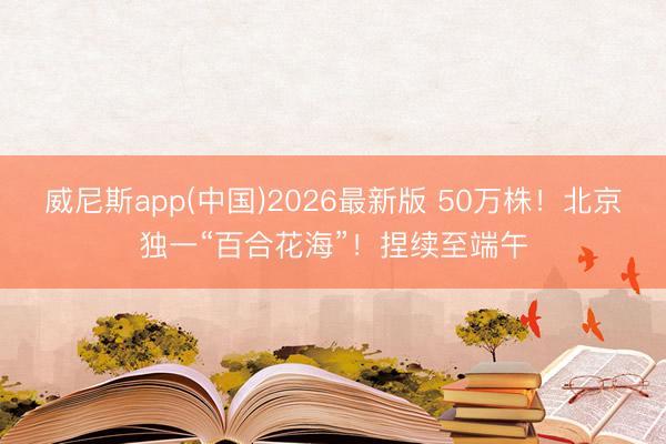 威尼斯app(中国)2026最新版 50万株！北京独一“百合花海”！捏续至端午