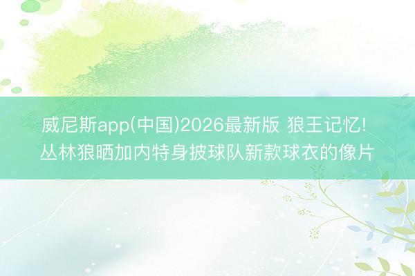 威尼斯app(中国)2026最新版 狼王记忆! 丛林狼晒加内特身披球队新款球衣的像片