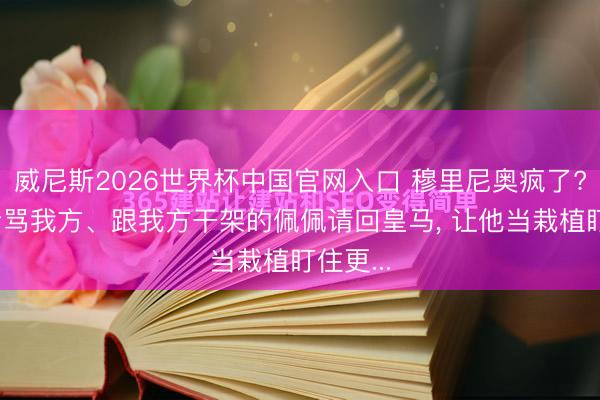 威尼斯2026世界杯中国官网入口 穆里尼奥疯了? 把夙昔骂我方、跟我方干架的佩佩请回皇马， 让他当栽植盯住更...