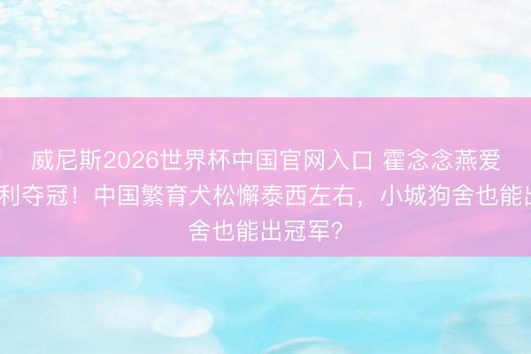 威尼斯2026世界杯中国官网入口 霍念念燕爱犬意大利夺冠！中国繁育犬松懈泰西左右，小城狗舍也能出冠军？