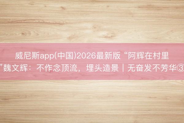 威尼斯app(中国)2026最新版 “阿辉在村里”魏文辉：不作念顶流，埋头造景｜无奋发不芳华③